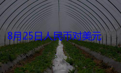 人民币对美8月25日元中间价报1元 上调160个基点